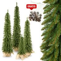Choinki Marzeń CHOINKA SLIM ŚWIERK TATRZAŃSKI *PREMIUM* 180cm + GRATIS