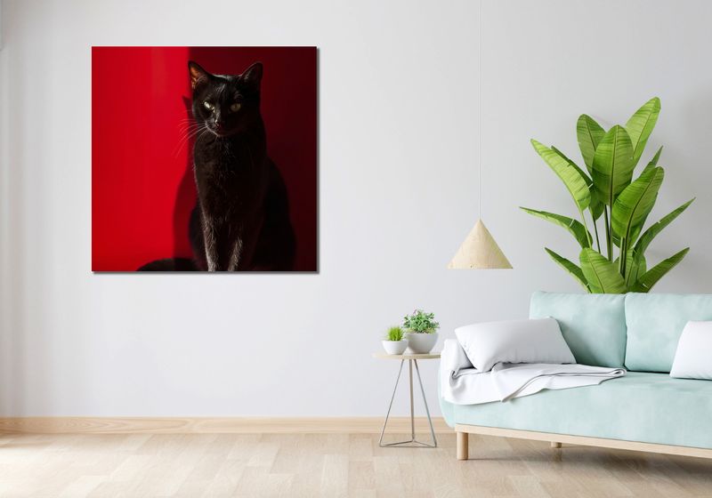 Obraz 100x100cm Elegancja w Cieniu zdjęcie 2