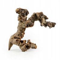 Korzeń do Akwarium Savanna Wood Rozmiar M 20-25cm