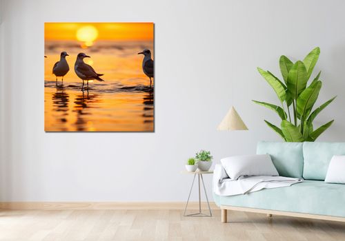 Obraz 100x100cm Mewia Gawęda na Arena.pl