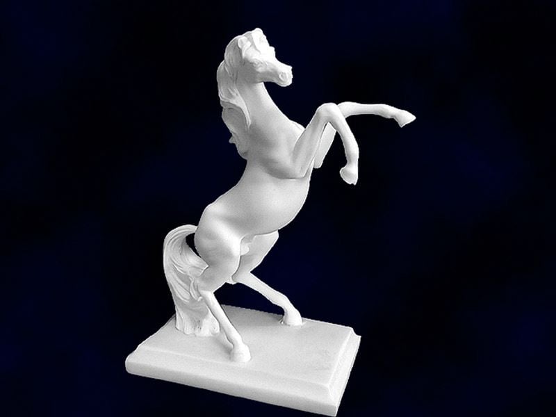 Koń dęba stojący zdjęcie 1