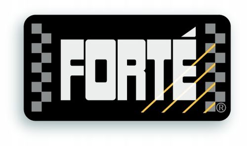 FORTE FUEL AND EMISSION IMPROVER 400ML na Arena.pl