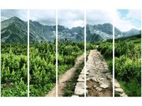 OBRAZ POLNA KAMIENISTA DROGA