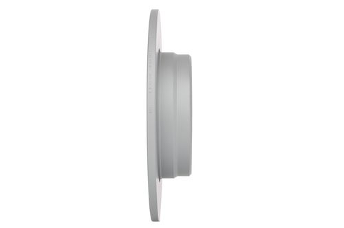 TARCZA HAM TYL 290X10 P BOSCH na Arena.pl