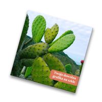 FOTO szklana deska kuchenna z dowolnym nadrukiem twoje zdjęcie 25x25cm