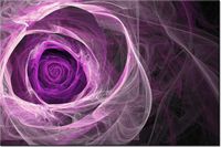 product-compare-58694048