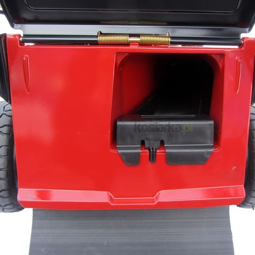 TORO 22293 na Arena.pl