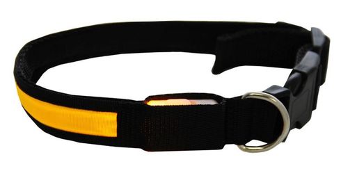 Obroża LED żółta - M na Arena.pl