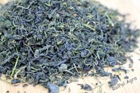 GYNOSTEMMA JIAOGULAN Zioło Życia 250g