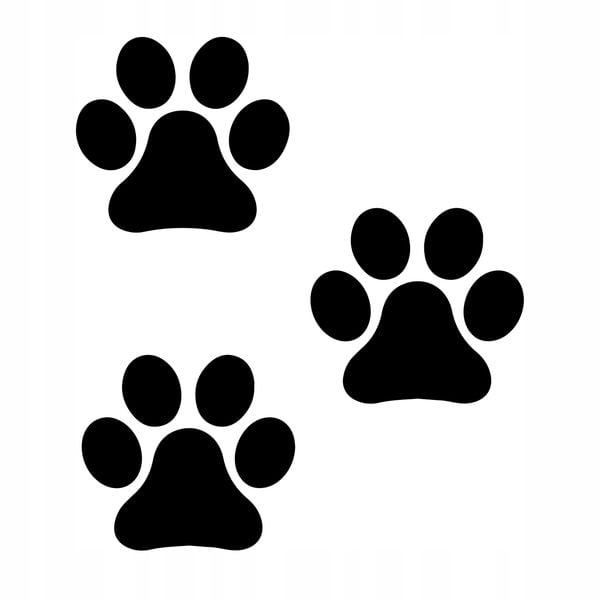 Naklejka ścienna do domu ŁAPKI PIESKA 10 cm zdjęcie 1