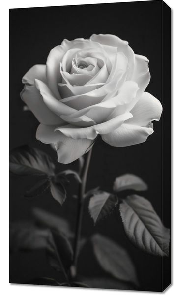 Obraz 50x90cm Płatki Róż zdjęcie 1