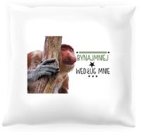 Poduszka z nosaczem -  Bynajmniej według mnie