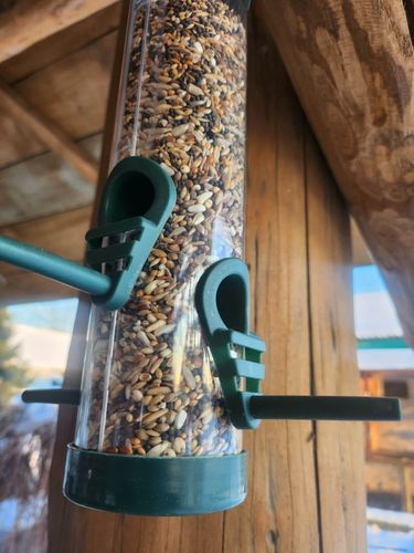 Karmnik dla ptaków na zimę na Arena.pl