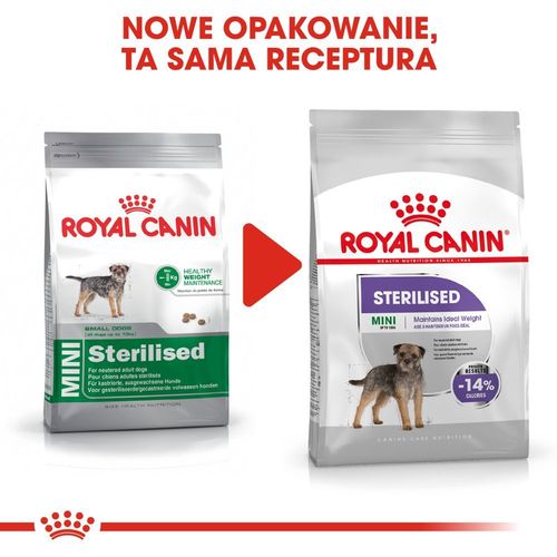 royal canin ccn mini sterilised 3kg na Arena.pl