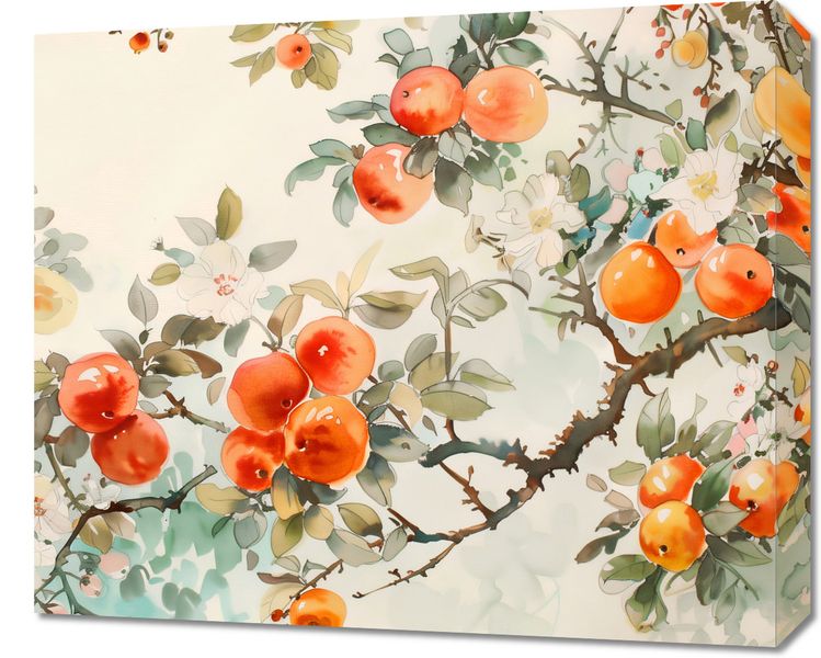 Obraz 60x50cm Persymony zdjęcie 1