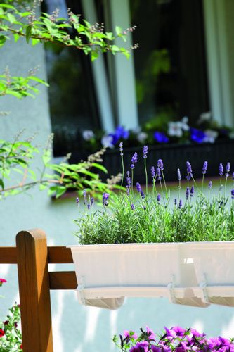 Uchwyt balkonowy HANGPLAST do doniczek Skrzynek na Arena.pl