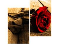 product-compare-58647247