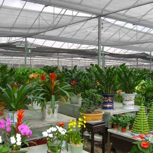 SIATKA CENIUJĄCA NA PŁOT 1,5X25M MASKUJĄCA GRAFIT na Arena.pl