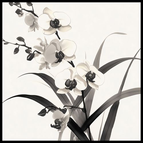 Plakat 90x90cm Orchidea na Arena.pl