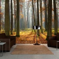 Fototapeta - Autumn trees 200x154