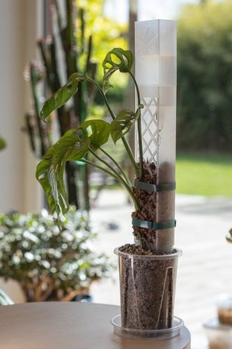 SPHAGROW AQUADRIP Nawadniacz kropelkowy do palika SPHAGROW D-6-25 na Arena.pl