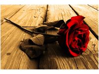 product-compare-58693832