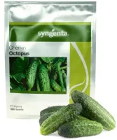 OGÓREK GRUNTOWY OCTOPUS KONSERWOWY DO KISZENIA NASIONA HOLENDERSKIE 500 SZT