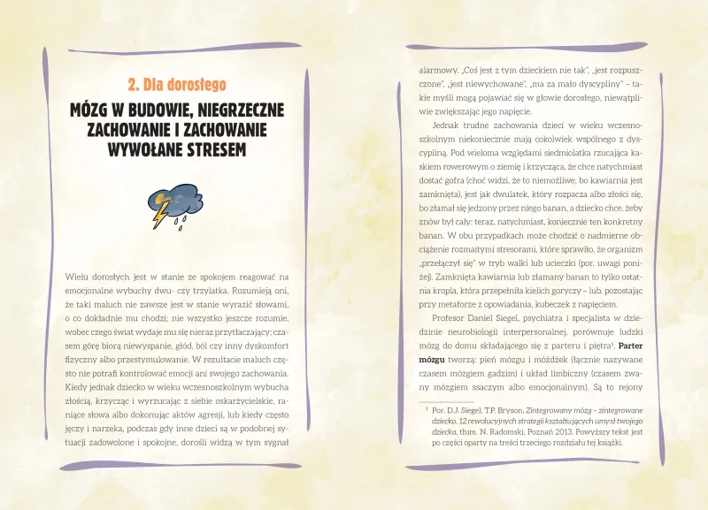 Self-Regulation. Szkolne wyzwania zdjęcie 6
