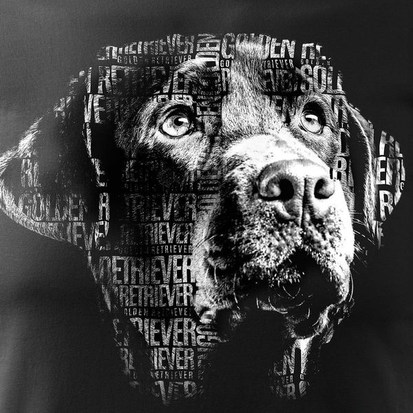 Koszulka Golden Retriever z Golden Retrieverem męska czarna REGULAR L zdjęcie 2