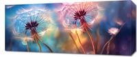 Obraz 70x30cm Delikatna Magia