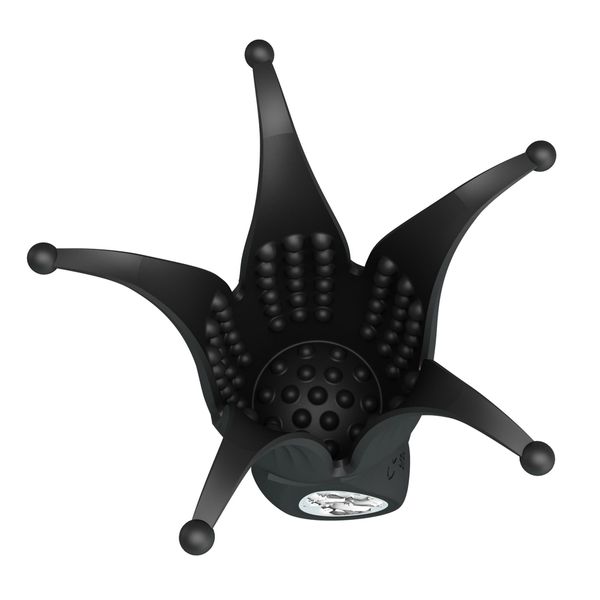 Arella, 12 Vibration Functions zdjęcie 4