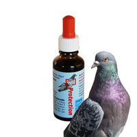 Protection przygotowuje umięsnienie gołębi do sezonu lotowego 30ml