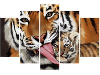 product-compare-58694522