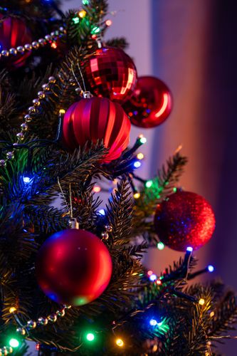 Choinka Świerk Leśny 180cm na Arena.pl