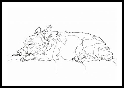 Plakat 60x40cm Śpiący Psiak na Arena.pl