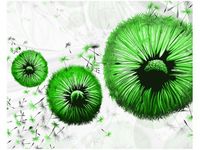 40CM 50CM OBRAZEK ŚCIENNY ZIELONE DMUCHAWCE DRUK PŁÓTNO OBRAZ