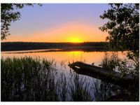 product-compare-58645823