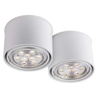Spot LAMPA sufitowa MIKI 7019 Shilo natynkowa OPRAWA DOWNLIGHT do łazienki biały