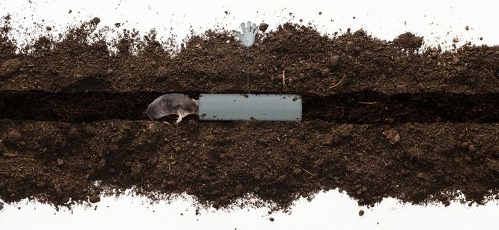 KRETOŁAPKA PUŁAPKA ŁAPKA NA KRETY I NORNICE 4 SZTUKI NO PEST SYGNALIZATOR zdjęcie 9