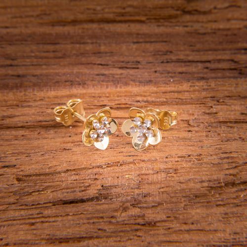 Złote Sztyfty Kwiatek na Arena.pl