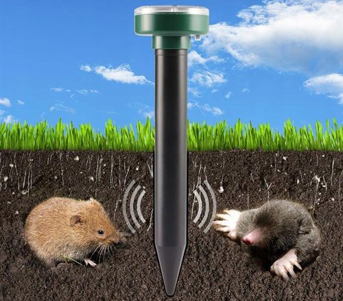 4x SILNY ODSTRASZACZ SOLARNY KRETÓW NORNIC GRYZONI NA KRETY NORNICE na Arena.pl