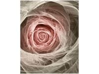 40X50CM RÓŻA KTALNA JASNY RÓŻ OBRAZ DRUK