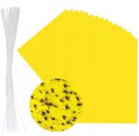 PUŁAPKA LEP NA NASIONNICĘ TRZEŚNIÓWKĘ - CZEREŚNIE NA DRZEWKA OWOCOWE