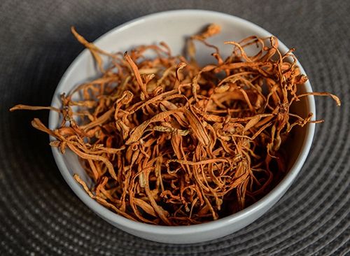 Cordyceps militaris suszone 100g KORDYCEPS na Arena.pl