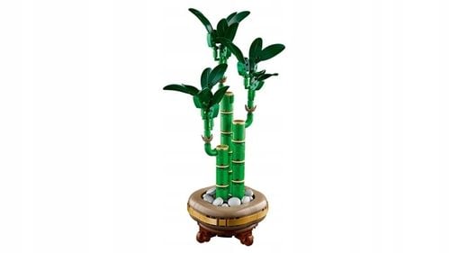 LEGO Botanicals 10344 Dracena sandera na Arena.pl