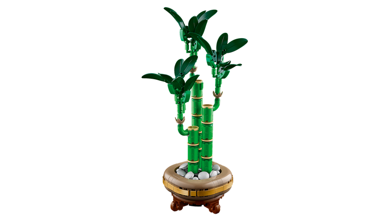 LEGO Botanical Collection Dracena sandera w doniczce 10344 zdjęcie 5