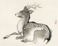 Plakat 50x40cm Elk, Kōno Bairei Japoński Vintage do Salonu