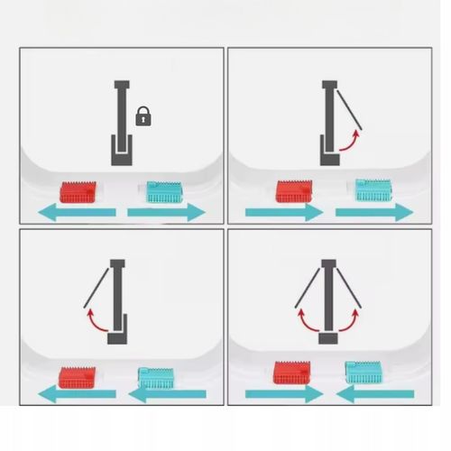 DRZWICZKI WAHADŁOWE DLA KOTA PSA DRZWI DWUSTRONNE Z KLAPĄ 4 SPOSOBY XL na Arena.pl