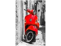 80CM 120 OBRAZ KLASYCZNY SKUTER ŚCIENNY