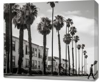 Obraz 70x60cm Spacer w Cieniu Palm